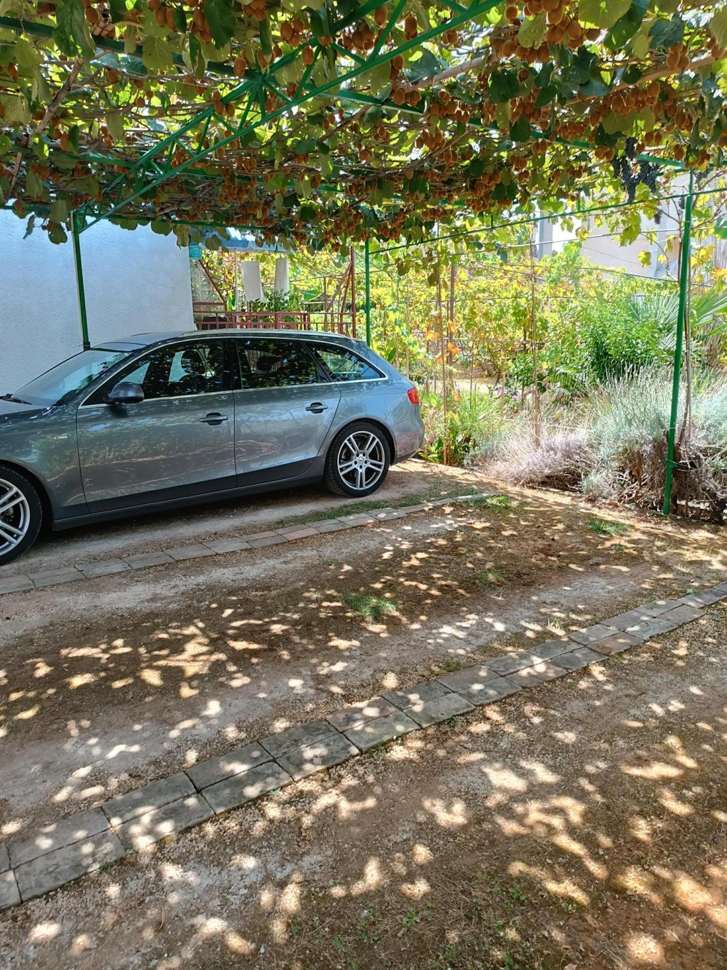 Levak Apartments - Apt. 2 Pjescana Uvala Kültér fotó